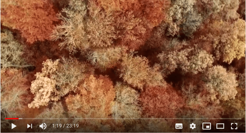 docu foret dynafor 23m