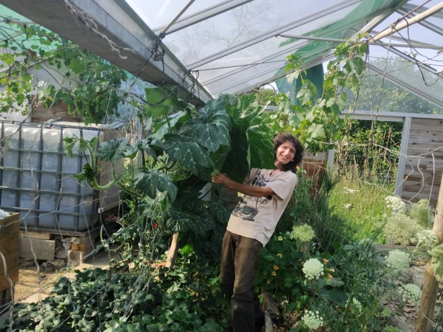 L'abondance au jardin