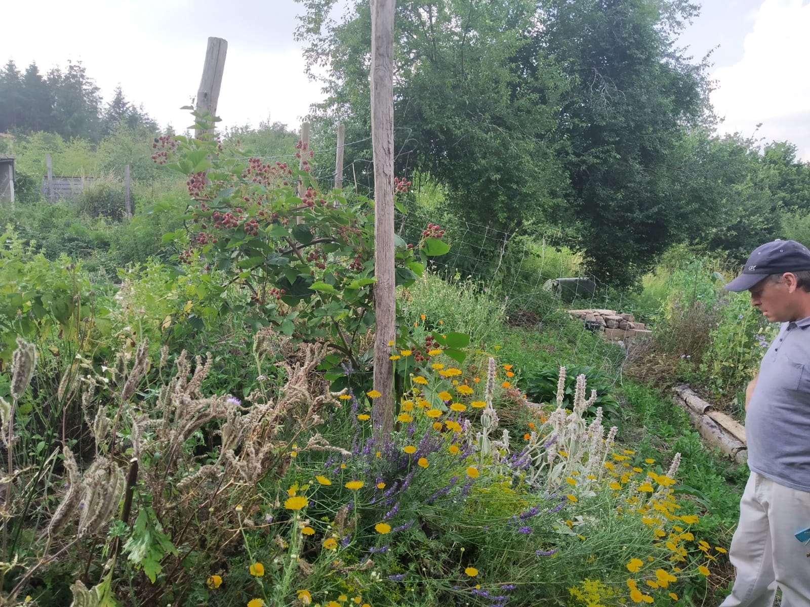 WhatsApp Image 2020-06-28 at 23.39.34