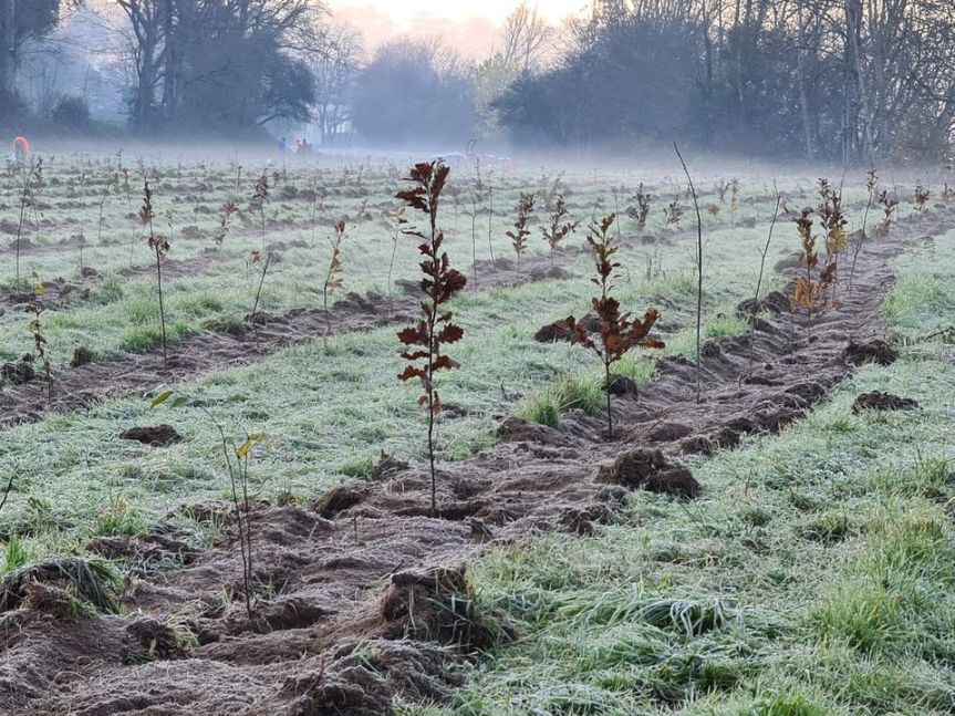 France Forêt Avenir, une asso qui crée des&nbsp;forêts