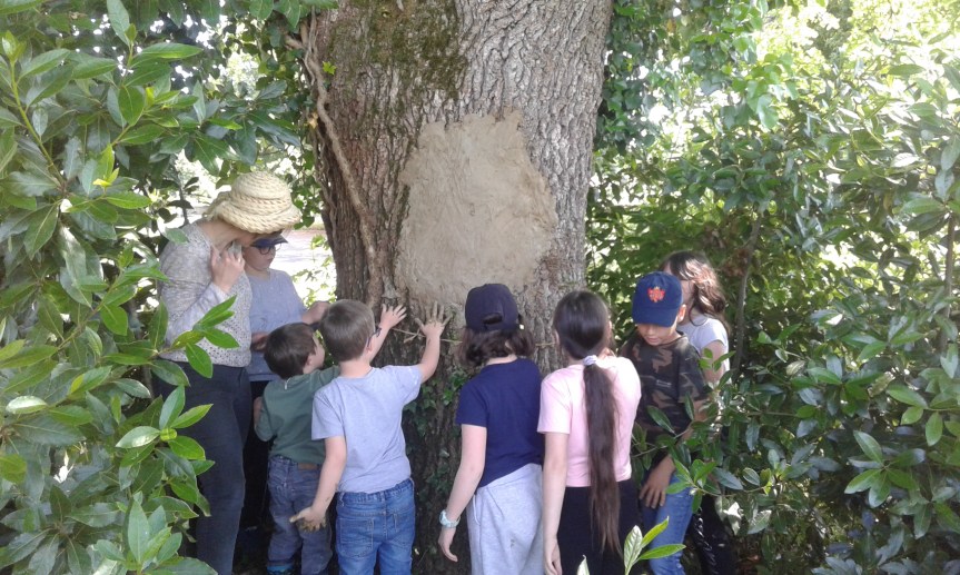 23 mai 2025 – Fête de la biodiversité à la forêt-jardin de&nbsp;Confolens